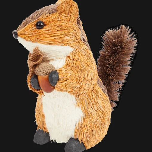 Eekhoornfiguur