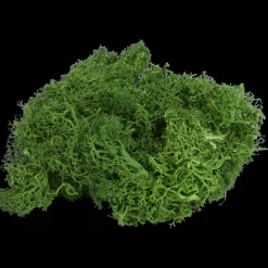 Home Accents decoratief mos