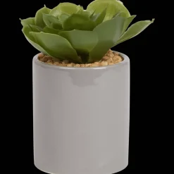 Kunst vetplant in pot