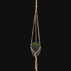 Kunst-vetplant in hangpotje