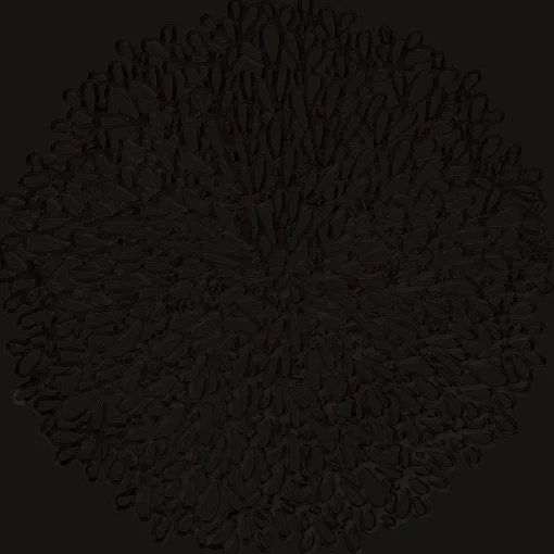Placemat