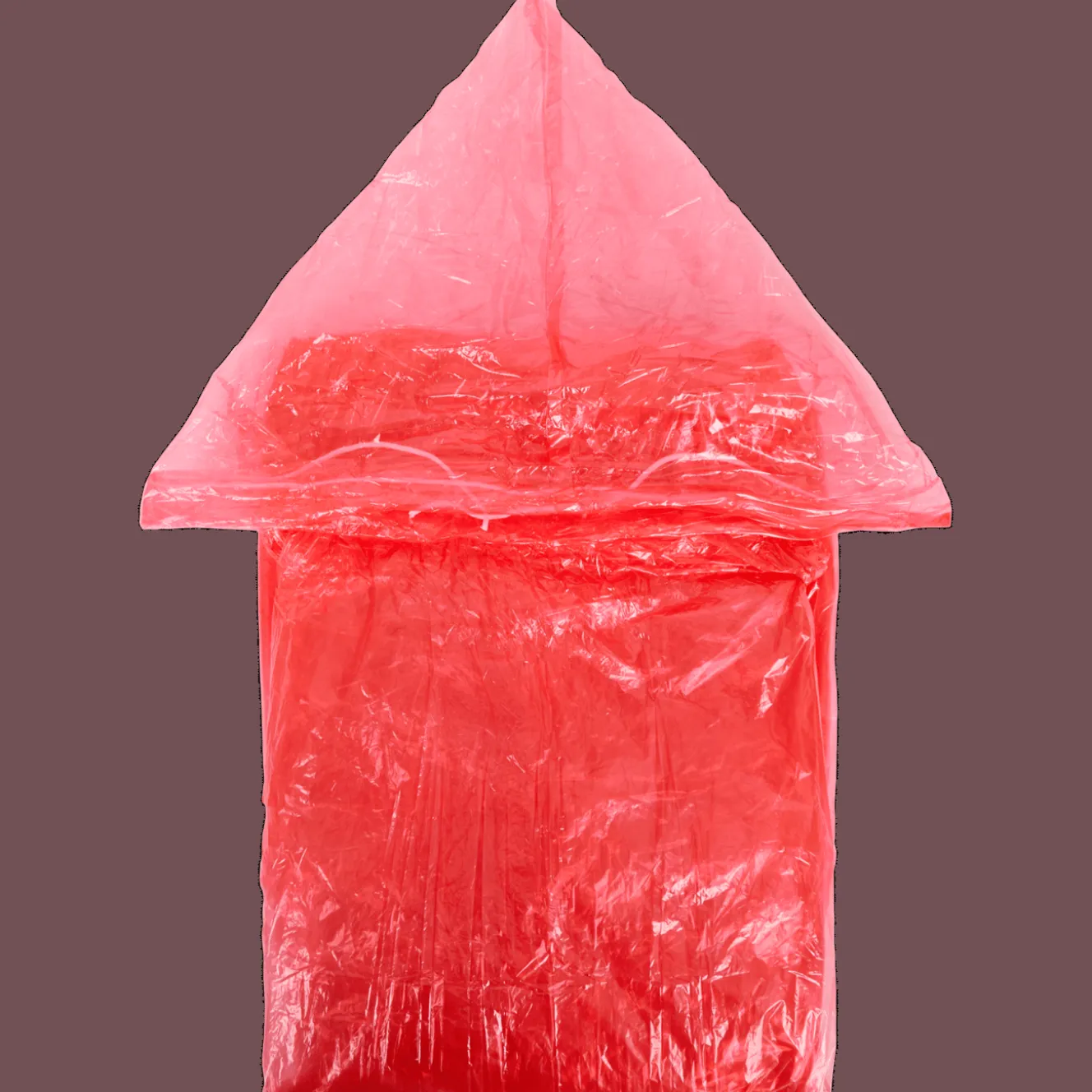 Regenponcho