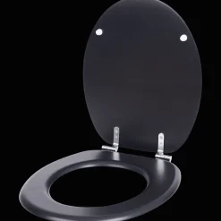 Toiletbril