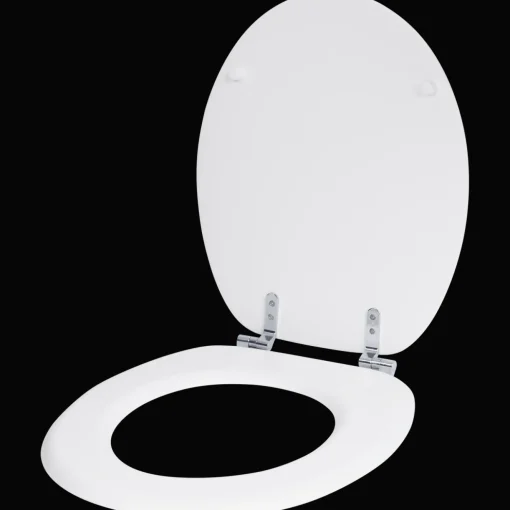 Toiletbril